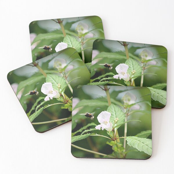 Item preview, bee and white wildflower designed and sold by Francespoppy.