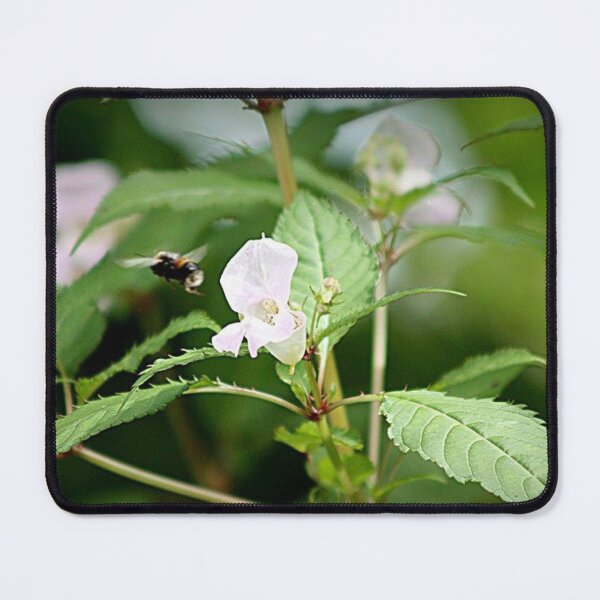 Item preview, bee and white wildflower designed and sold by Francespoppy.