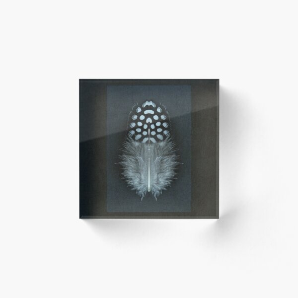 Guinea Fowl Feather Symmetry Acrylic Block
