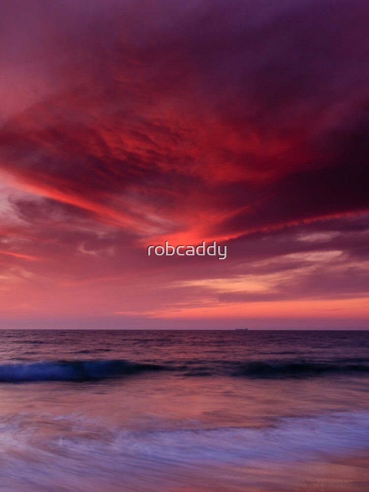 Phoenix Flying by robcaddy
