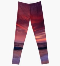 Leggings Phoenix Flying