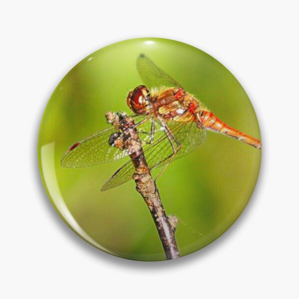 Item preview, orange dragonfly designed and sold by Francespoppy.