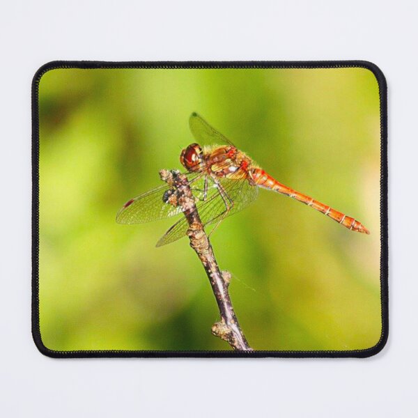 Item preview, orange dragonfly designed and sold by Francespoppy.