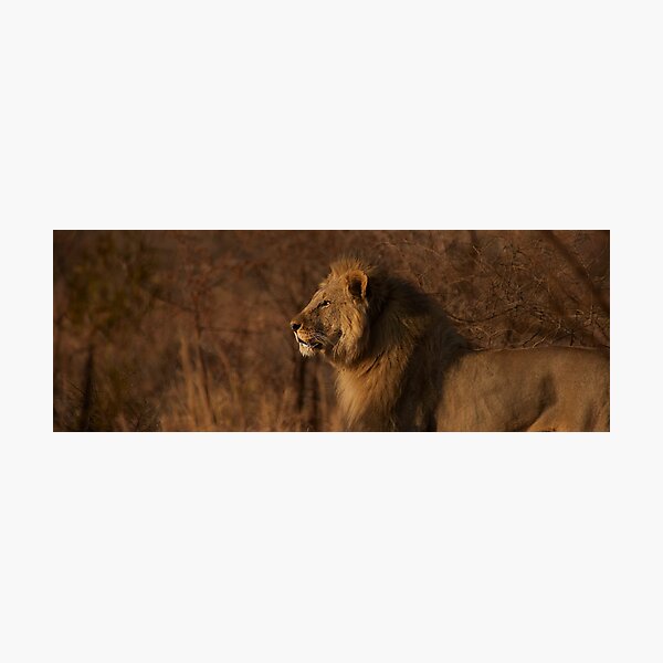 Item preview, Taking Pride designed and sold by Leon Rossouw.