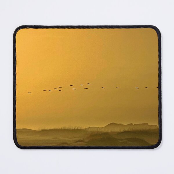 Item preview, Pelicans At Dusk designed and sold by Jason Tompkins.