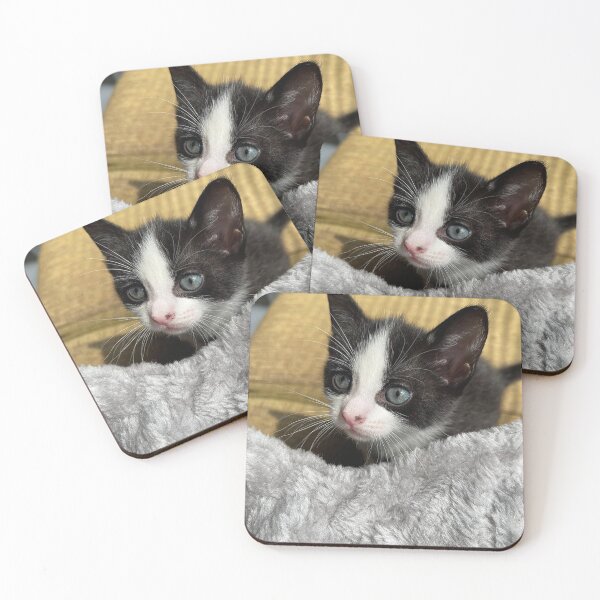 Item preview, Beautiful cute kitten designed and sold by Ethem Eskil.