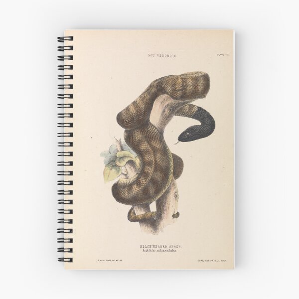 Item preview, Black-headed Snake designed and sold by Old-fowers.