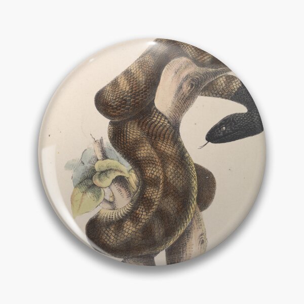 Item preview, Black-headed Snake designed and sold by Old-fowers.