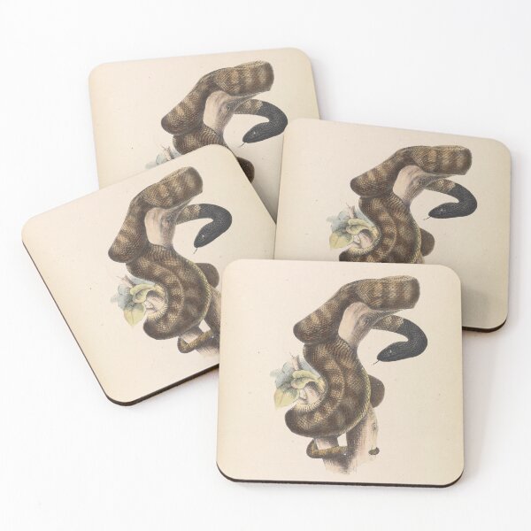 Item preview, Black-headed Snake designed and sold by Old-fowers.
