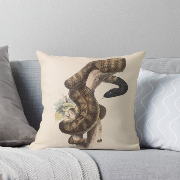 Item preview, Black-headed Snake designed and sold by Old-fowers.