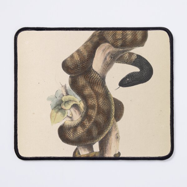Item preview, Black-headed Snake designed and sold by Old-fowers.