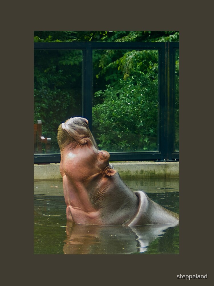 Happy Hippo - Aaaah... Life is good... by steppeland
