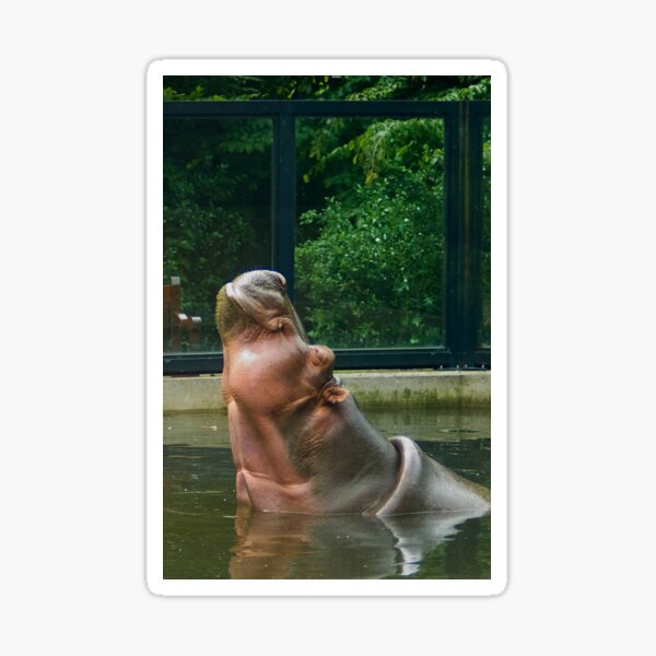 Happy Hippo - Aaaah... Life is good... Sticker