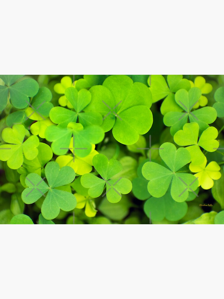 Green Four Leaf Clover Magnet