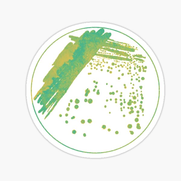 Vista previa del artículo con la obra «microbiología de la raya del cuadrante de la placa de Petri», diseñado y vendido por Marissa Roghair Stroud.
