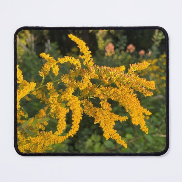Item preview, Golden Rod in Morning designed and sold by emikat-art.