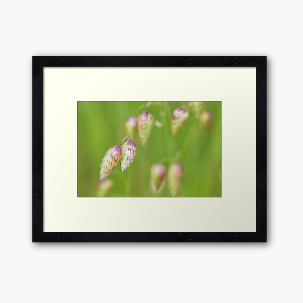 Item preview, Quacking Grass designed and sold by jvnimages.