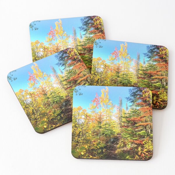 Item preview, Northern Woods designed and sold by Jason Tompkins.