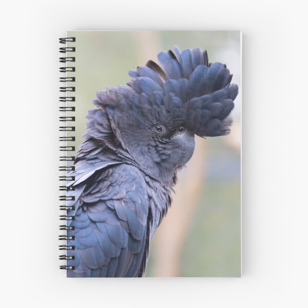 Item preview, Black Cockatoo  designed and sold by ceiicileb.