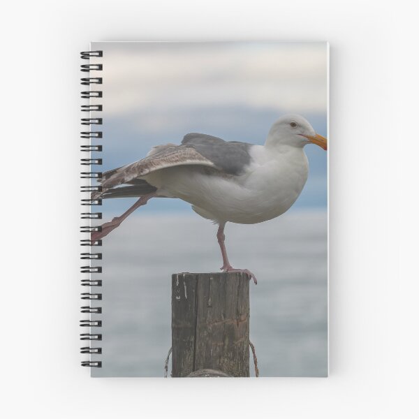 Item preview, Yoga Gull designed and sold by jvnimages.