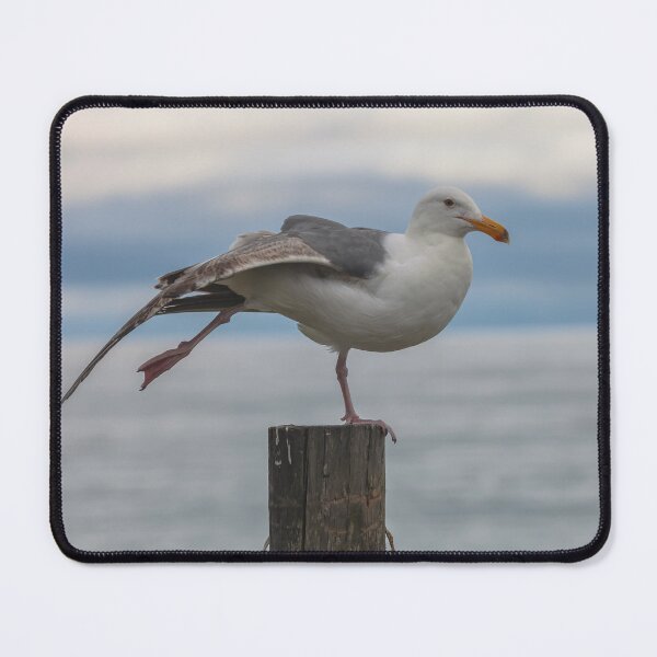 Item preview, Yoga Gull designed and sold by jvnimages.