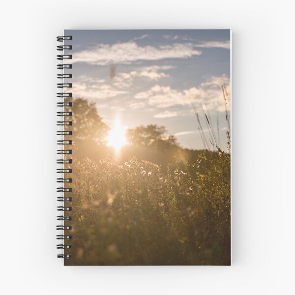Item preview, Alone in the Field designed and sold by Daniel's Destinations.