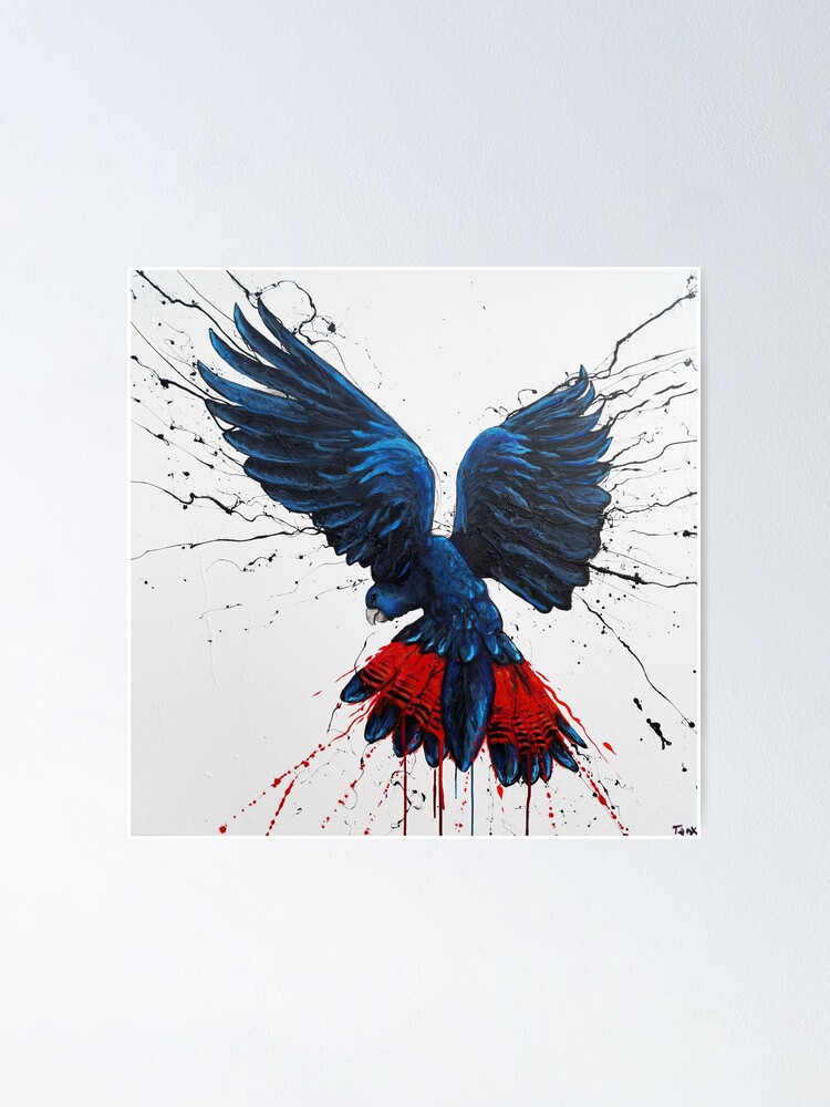 Bird Series Red Tailed Black Cockatoo Poster By Tank Redbubble