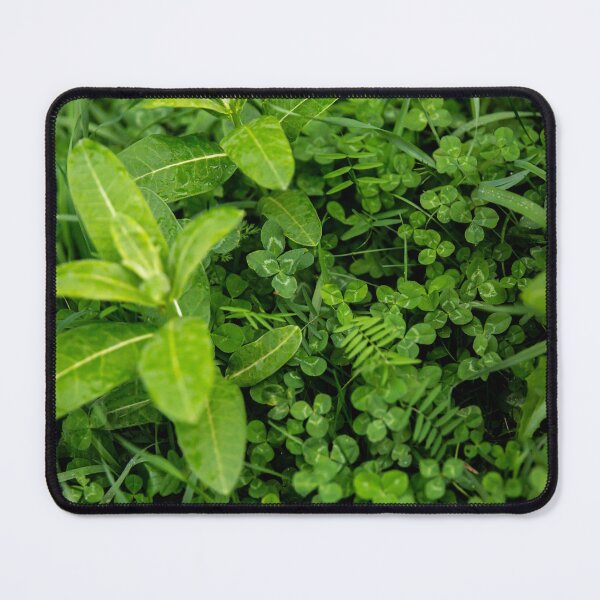 Item preview, Feeling Green designed and sold by Daniel's Destinations.