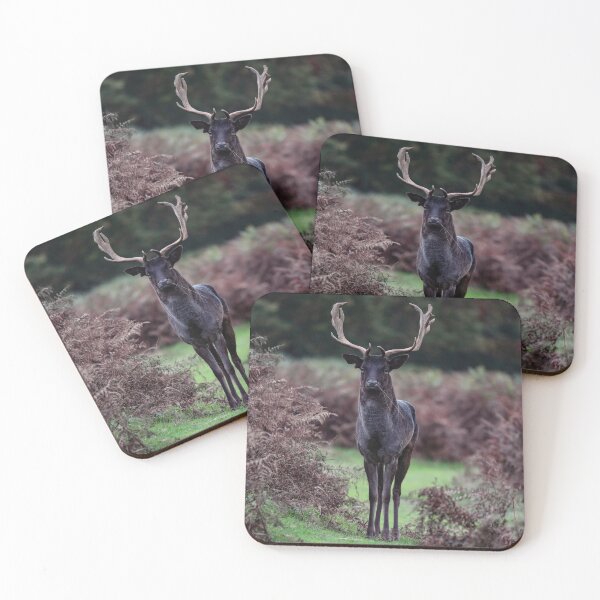 Item preview, Black Stag designed and sold by ChloePorter17.
