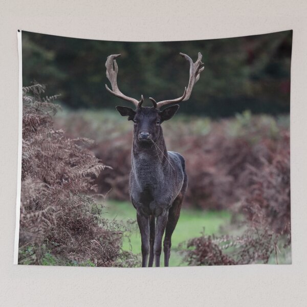 Item preview, Black Stag designed and sold by ChloePorter17.
