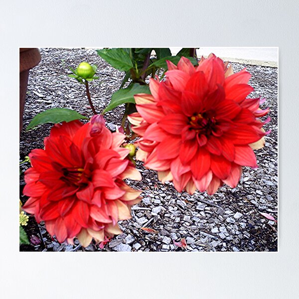 Item preview, Red Rush of Beauty designed and sold by Mary Ann Battle.