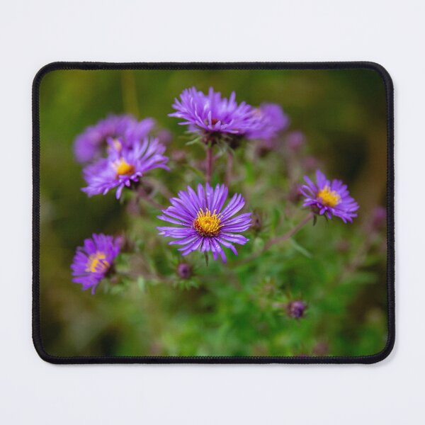 Item preview, Purple Spring designed and sold by Daniel's Destinations.