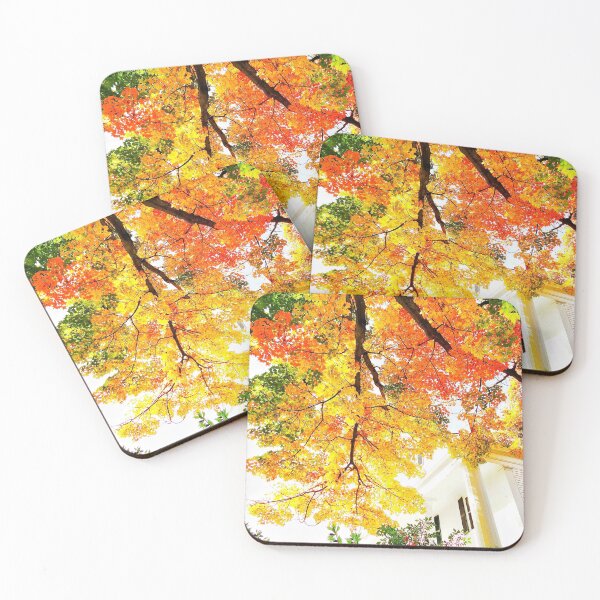 Item preview, from under the shade tree in autumn designed and sold by BBrightman.