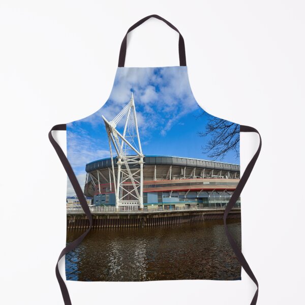 Item preview, Principality Stadium, Cardiff, South Wales designed and sold by VnGphoto.