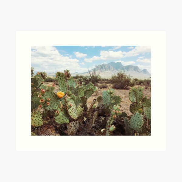 Item preview, Superstitious Arizona Desert Mountain Cactus Bloom designed and sold by Kevin Russ.