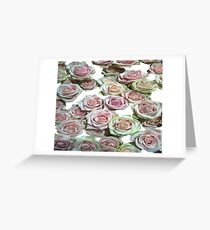 White Roses Greeting Card