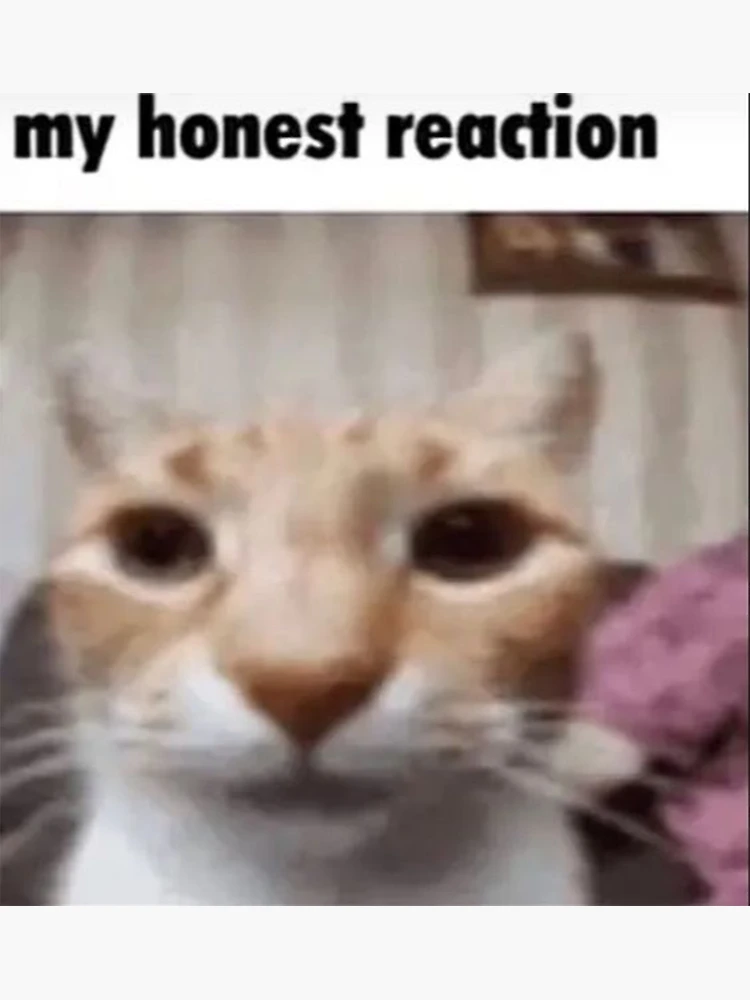 My Honest Reaction My Honest Reaction Meme Sticker - My honest