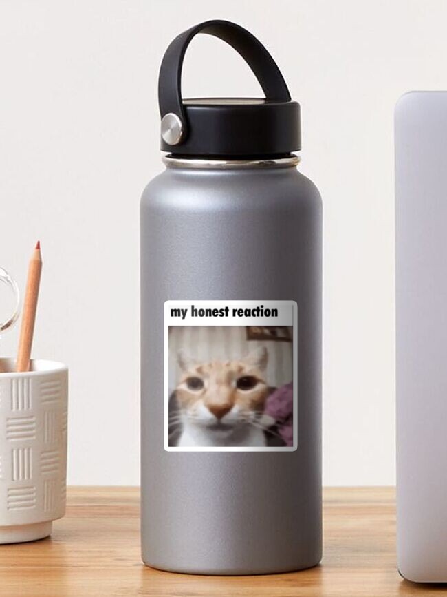 Aperçu 1 sur 3. Sticker avec l'œuvre ma réaction honnête créée et vendue par cocksnot.