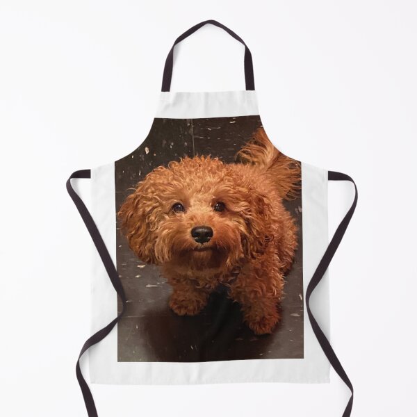 Item preview, Jared  designed and sold by BOBBYBABE.