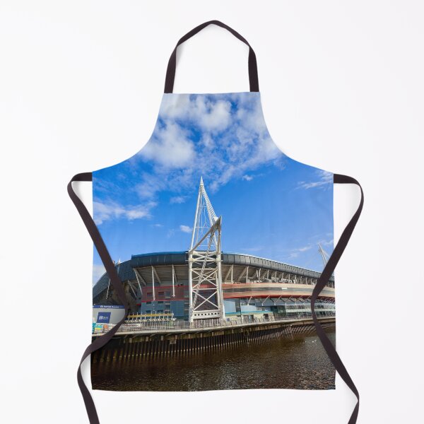 Item preview, Principality Stadium, Cardiff, South Wales designed and sold by VnGphoto.