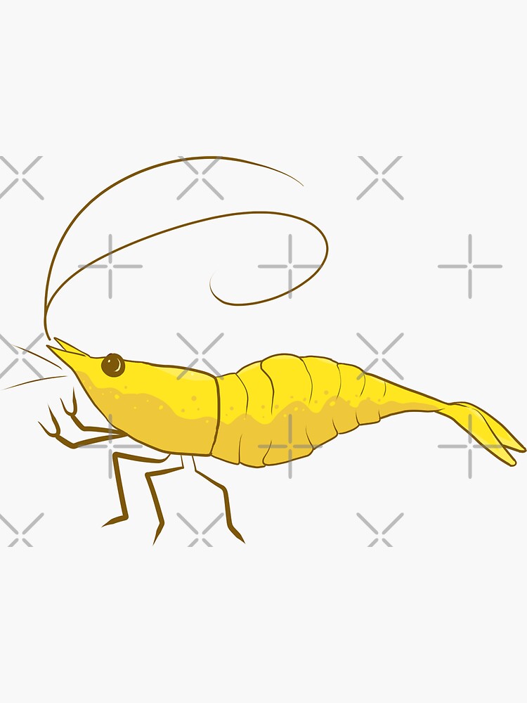 Neon Yellow Neocaridina Freshwater Shrimp Sticker for Sale by