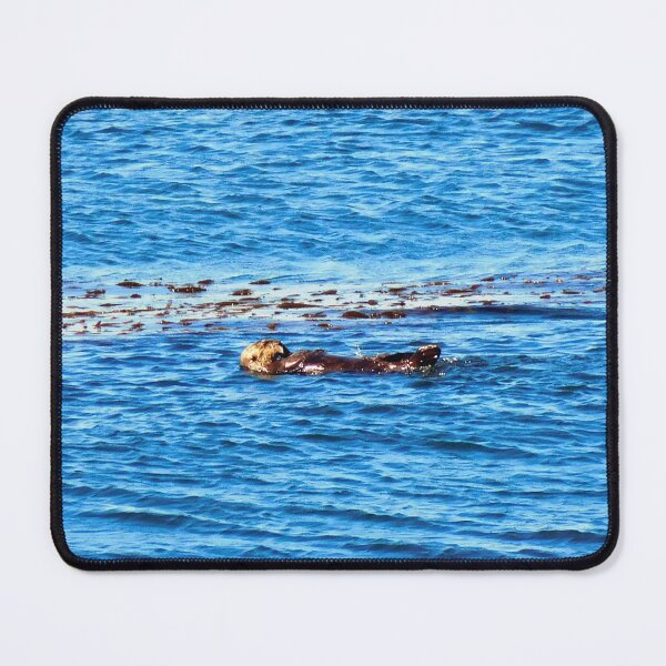 Item preview, Sea otter swimming, floating in Monterey Bay designed and sold by PowerfulPhotos.