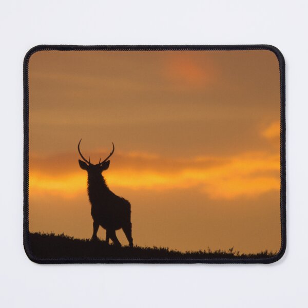 Item preview, Stag Silhouette designed and sold by Macrae images.