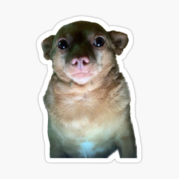 Spooky Mouse Sticker
