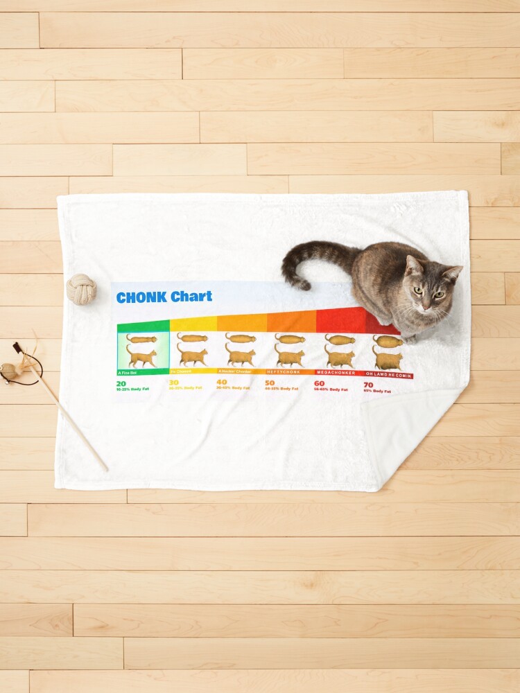 Funny Gift Cats Meme Chonk Cat Chart Tank Top