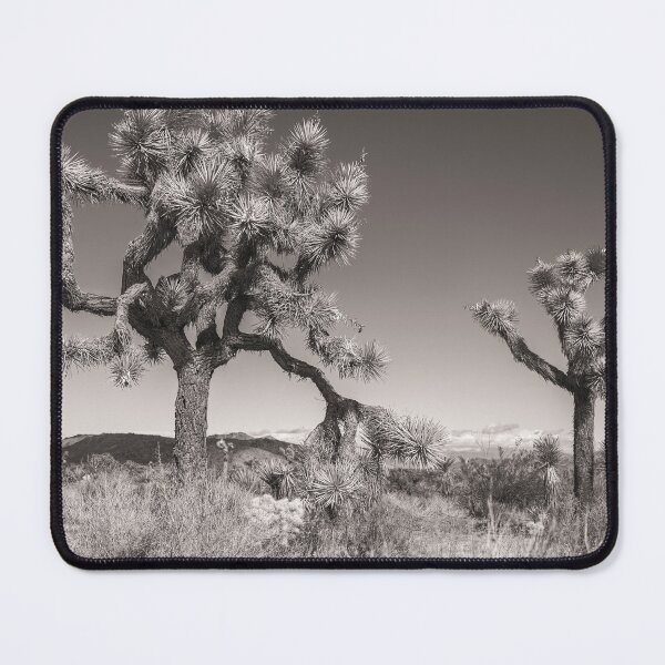 Item preview, Joshua Trees bw designed and sold by jvnimages.