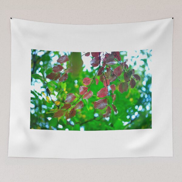 Item preview, Colorful autumn flowers on nature background designed and sold by olena2552.
