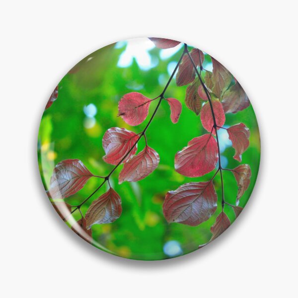 Item preview, Colorful autumn flowers on nature background designed and sold by olena2552.