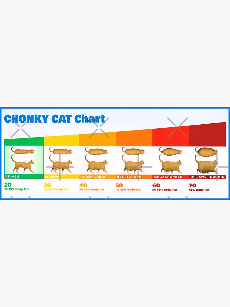 Discover Chubby Chonky Cat Chart Funny Chonk Meme (Oh Lawd He Comin) Premium Matte Vertical Poster