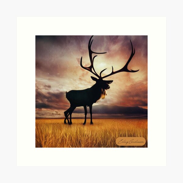 Majestic Reindeer | Christmas | Winter deer | Christmas gift | Sapmi Art Print